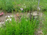 2012-08-03 12.32.04.webp