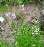 2012-08-03 12.32.11.webp