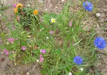 2012-08-03 12.33.28.webp