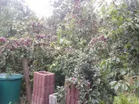 2012-08-03 12.33.59.webp