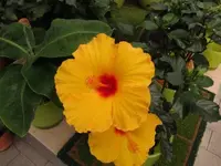 167.webp