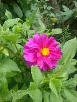 DSC09290.webp
