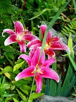 SDC14862.webp