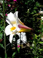 SDC14793-001.webp