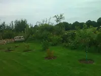 WP_000163.webp