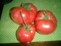 CIMG0049.webp