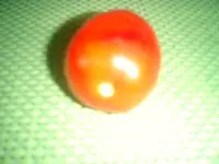 CIMG0053.webp