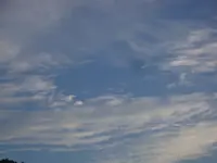 DSC09421.webp