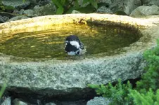 2012_0805Sommer0078.webp