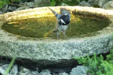 2012_0805Sommer0079.webp