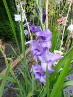 DSC09404.webp