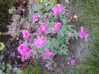 2012-08-03 20.02.36.webp