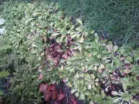 2012-08-03 20.02.46.webp