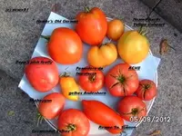 BILD0513.webp