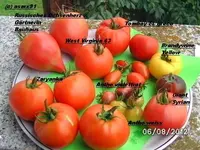 BILD0533.webp