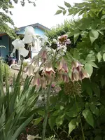 DSC00139.webp