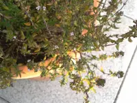 2012-08-06 18.33.09.webp