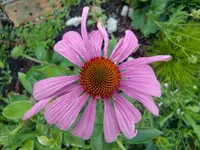 CIMG9465.webp