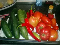 CIMG0017u.webp