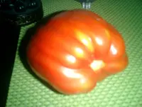 CIMG0004u.webp