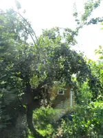 IMG_0855k.webp