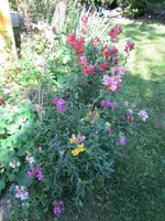 IMG_0873k.webp