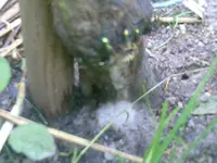 CIMG0044.webp