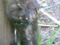 CIMG0045.webp