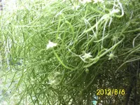 DSCI0003.webp