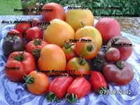 BILD0540.webp