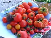 BILD0546.webp