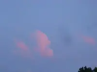 DSC09443.webp