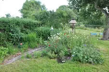 11jun0362_(1024_x_768).webp