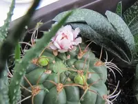 005.webp