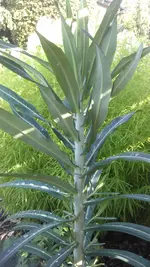 IMAG0172.webp
