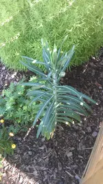 IMAG0173.webp