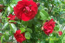 100_3269.webp