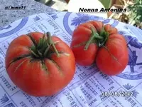 BILD0555.webp
