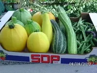 BILD0558.webp
