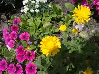 08082012776.webp