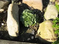 Bild 013.webp