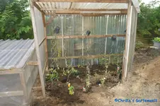 07.08.12-1.webp