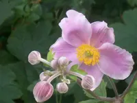 verkleinert100_4452.webp
