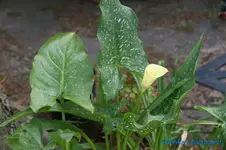 comp_DSC08382.webp