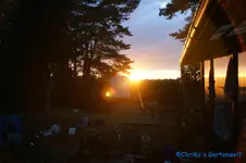 comp_DSC08391.webp