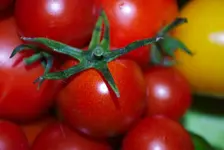 tomate_5.webp