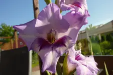 P1080387.webp
