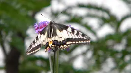DSCN3442.webp