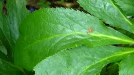 DSCN3456.webp