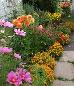 web_IMG_3168.webp